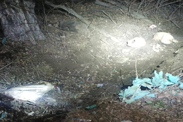 श्रीनगर-बारामूला नेशनल हाईवे पर गश्त के दौरान आईईडी बरामद, बड़ा हादसा टला