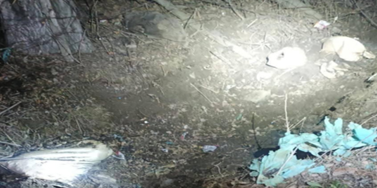 कश्मीर में सुरक्षाबलों ने गश्त में देखा आईईडी : बम निरोधक दल ने किया निष्क्रिय, इस तरह की यह दूसरी बरामदगी