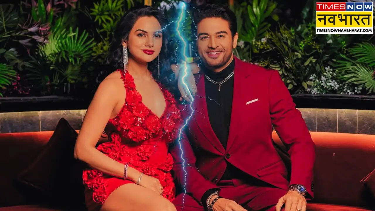 आकांक्षा चमोला संग तलाक के रुमर्स पर बोले Gaurav Khanna, कहा, 'मैं उन्हे सपोर्ट करूंगा...'