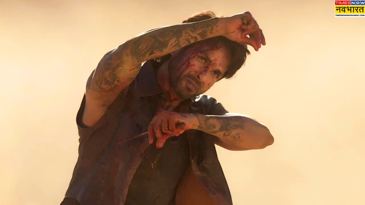 O Romeo Box Office Collection: 7वें दिन भी कायम है शाहिद की फिल्म का जलवा, अब तक की इतनी कमाई