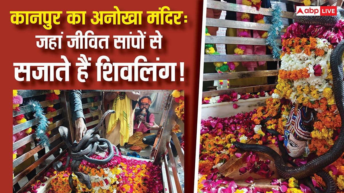 200 साल पुराना कानपुर का मंदिर, जहां जिंदा सांपों से होता है शिवलिंग का श्रृगांर और बदलता है रंग!