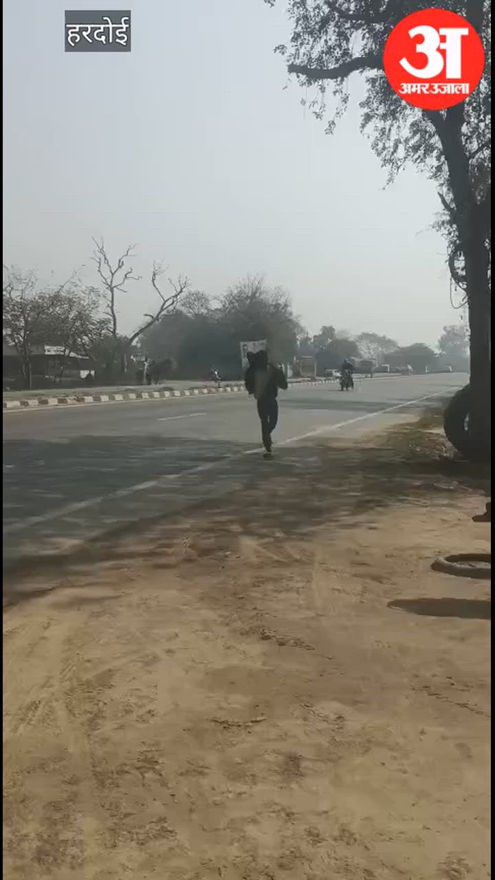 हरदोई में हाईवे पर मधुमक्खियों ने राहगीरों पर किया हमला