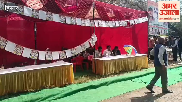 हिसार की लाला लाजपत राय पशु चिकित्सा और पशु विज्ञान विश्वविद्यालय में गैर कर्मचारी संघ के चुनाव के लिए मतदान