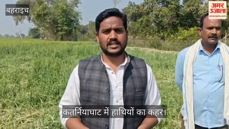 बहराइच के कतर्नियाघाट में हाथियों का कहर, फेंसिंग तोड़ 20 किसानों की फसल की चौपट