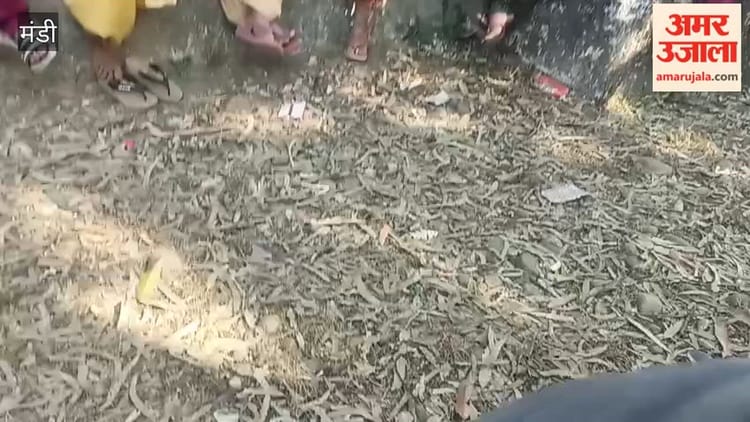 Mandi: महिला दिवस से पहले गांव-गांव नशा मुक्ति बैठकों का दौर तेज