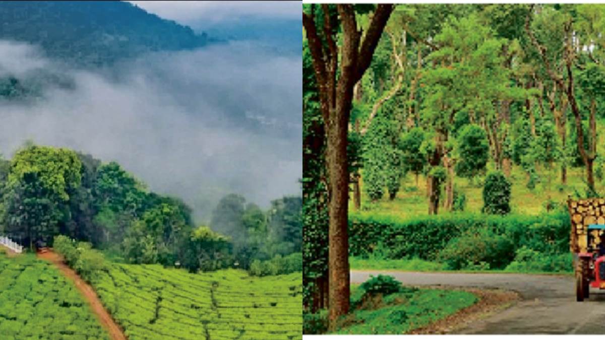 Travel Trends: बदल गया पर्यटन का अंदाज, शोर-शराबे वाले हिल स्टेशन के बजाय शांत वादियों की ओर बढ़ रहे कदम