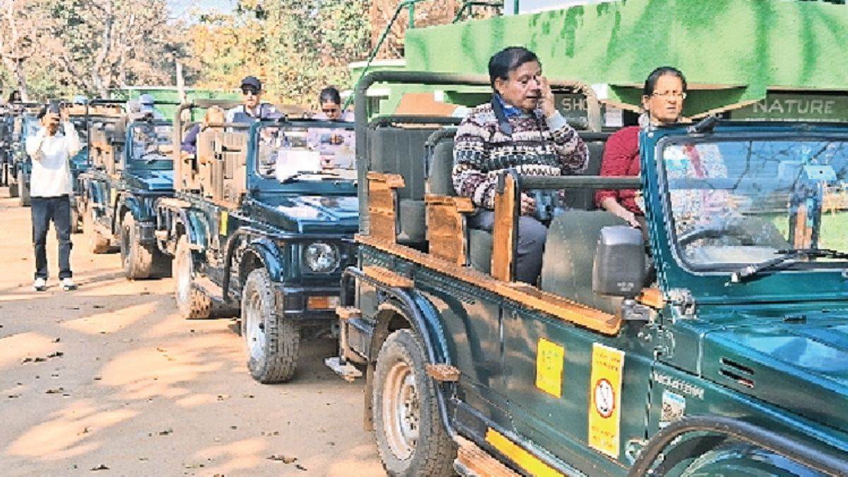 बांधवगढ़ टाइगर रिजर्व में बघीरा ऐप ने पकड़ी जिप्सी चालकों की मनमानी, 27 गाइडों के प्रवेश पर रोक