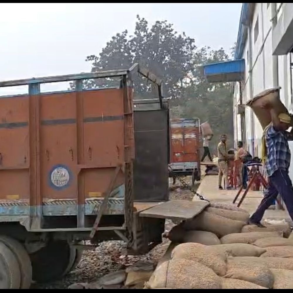 वेयरहाउस में 144 क्विंटल धान कम मिला, तौल कांटा सील:उमरिया में 48 ट्रकों में कम निकलने पर नोटिस भी दिया, धान खरीदी की जांच में खुलासा
