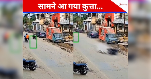 VIDEO: तेज रफ्तार बाइक के सामने आया ये जानवर, जिंदगी पर भारी पड़ गई पल भर की लापरवाही!