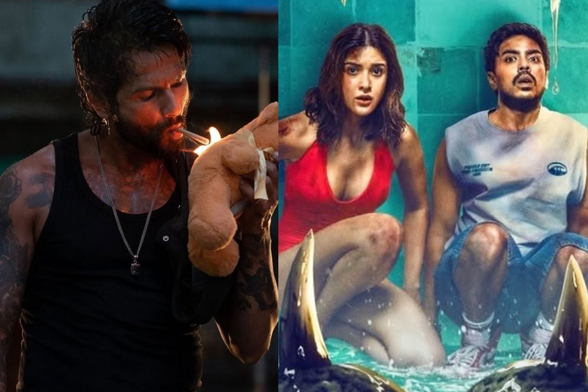 'ओ रोमियो' ने पकड़ी रफ्तार, दूसरे दिन डबल डिजिट में हुआ कलेक्शन, बॉक्स ऑफिस पर 'तू या मैं' की हालत खराब