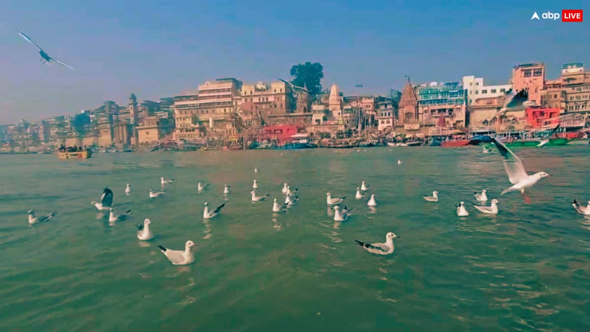 काशी में 'मसान की होली' पर फिर विवाद! विद्वानों ने जताई आपत्ति, कहा- इससे समाज में विकृति फैलेगी