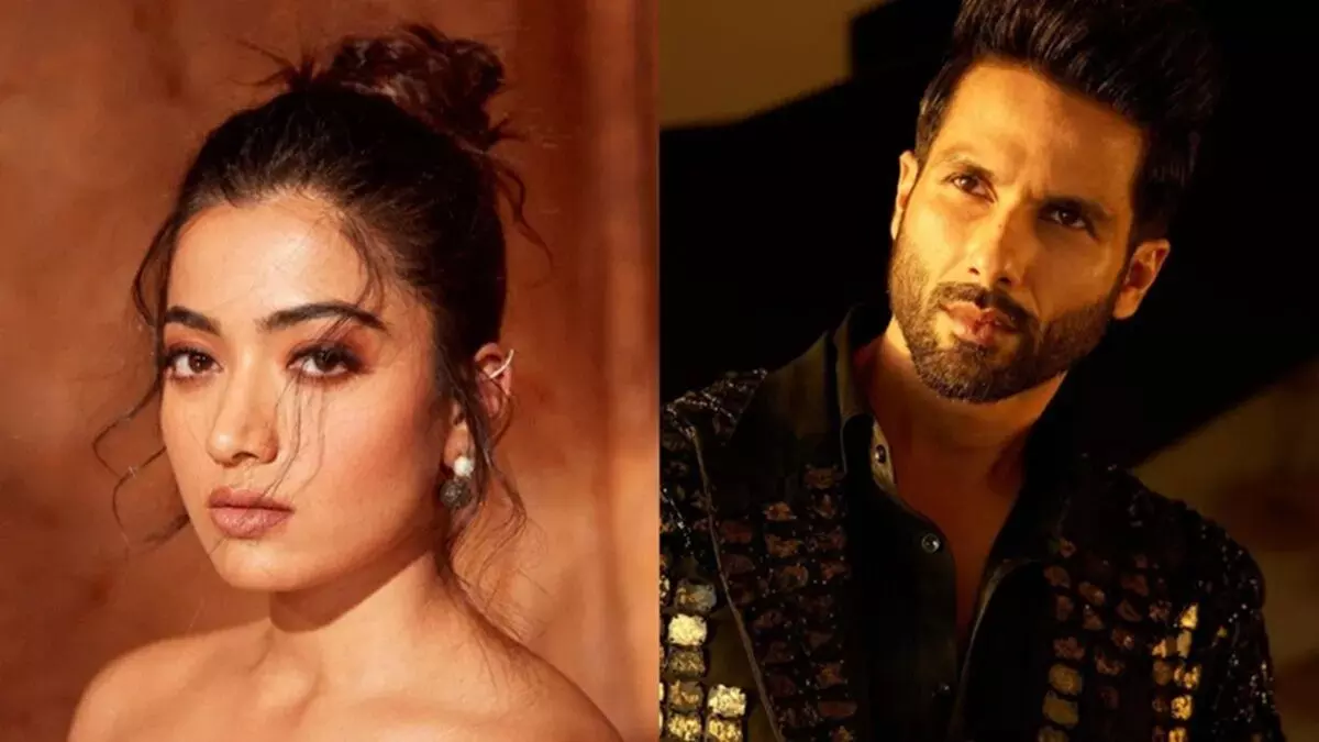 ‘कॉकटेल 2’ से आगे बढ़ी जोड़ी: शाहिद कपूर–रश्मिका मंदाना एक और रोमांटिक कॉमेडी में साथ आएंगे नजर