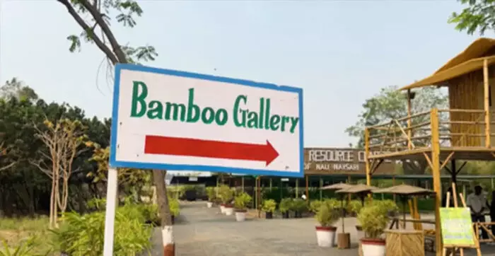 गुजरात का बैंबू स्टार्टअप: योगेश ने बनाई आत्मनिर्भरता की राह