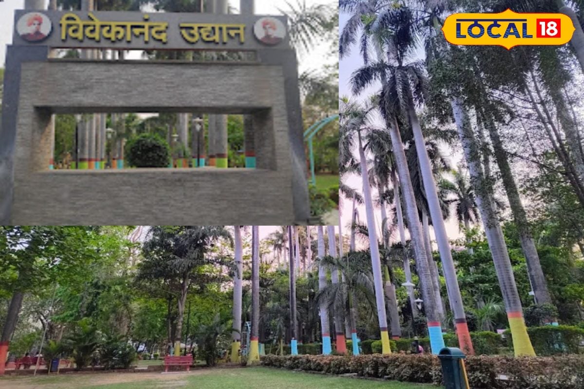 Valentine Day: बिलासपुर के इन टॉप 5 गार्डन में वैलेंटाइन पर कपल न जाएं तो ही अच्छा! जानें वजह... रहें सतर्क