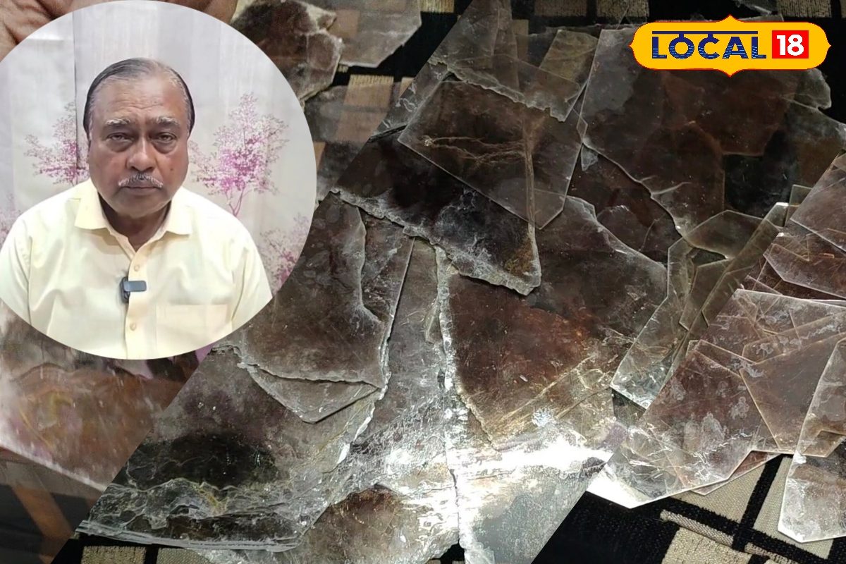 कोडरमा की धरती में बहुउपयोगी खजाना, विश्वभर में है डिमांड, ब्यूटी प्रोडक्ट से लेकर बुलेटप्रूफ जैकेट तक होता है इस्तेमाल