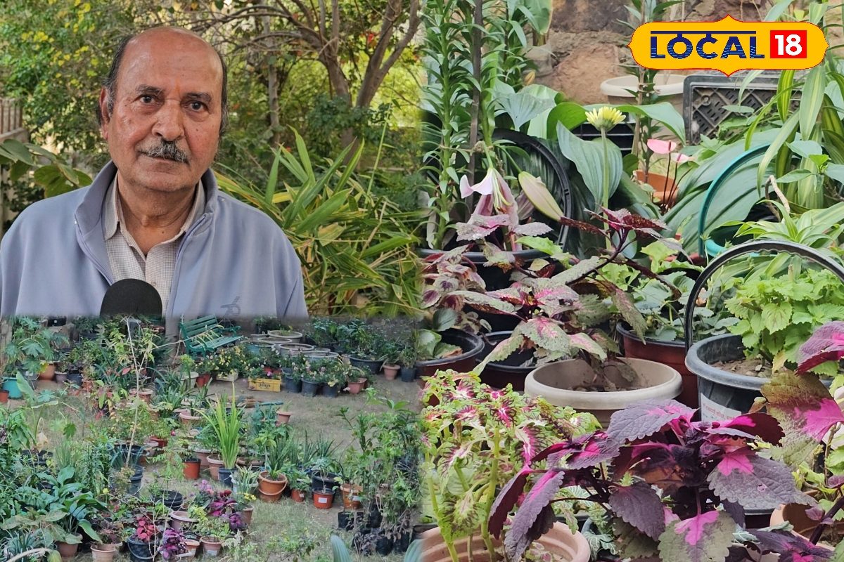 रंग लाया वासुदेव जोशी की मेहनत, बाड़मेर के वीरान जमीन पर 5 हजार पौधे लगाकर लाई हरियाली