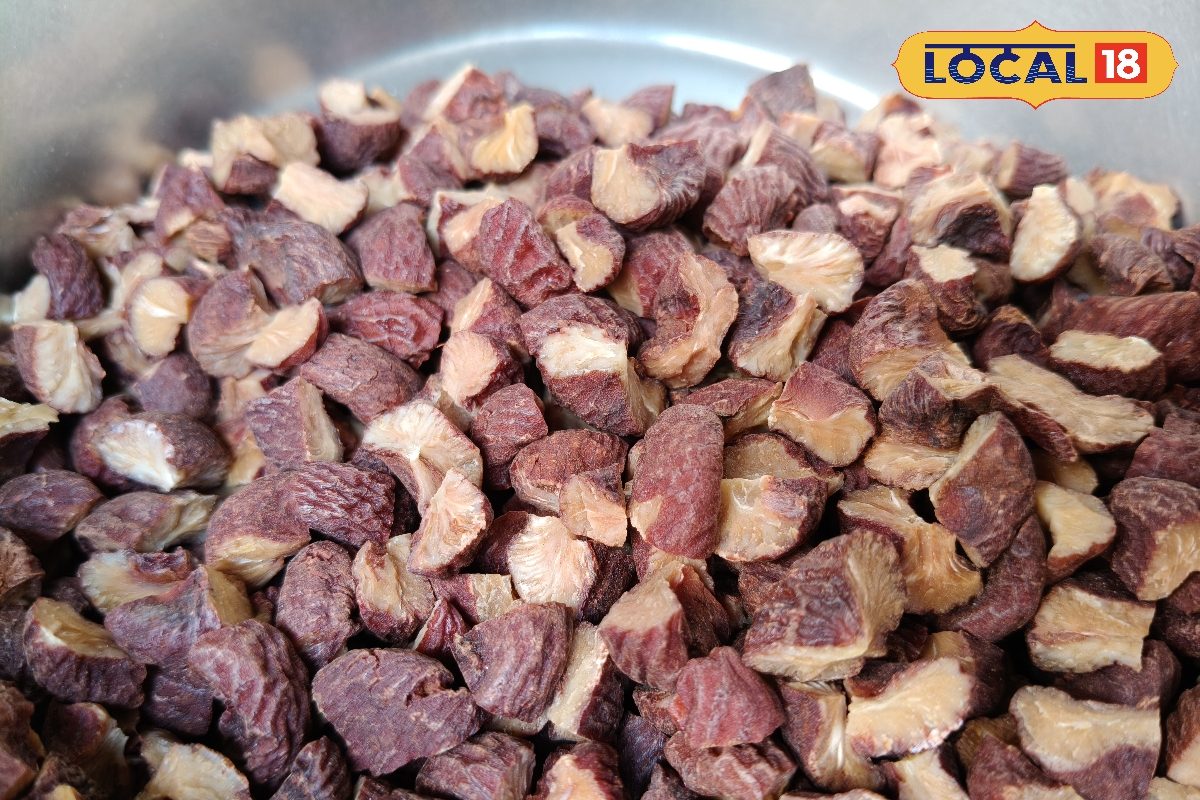 रेगिस्तान की प्यास से जन्मी परंपरा! मारवाड़ियों की सुपारी का राज, सफर से संस्कृति तक की दिलचस्प कहानी