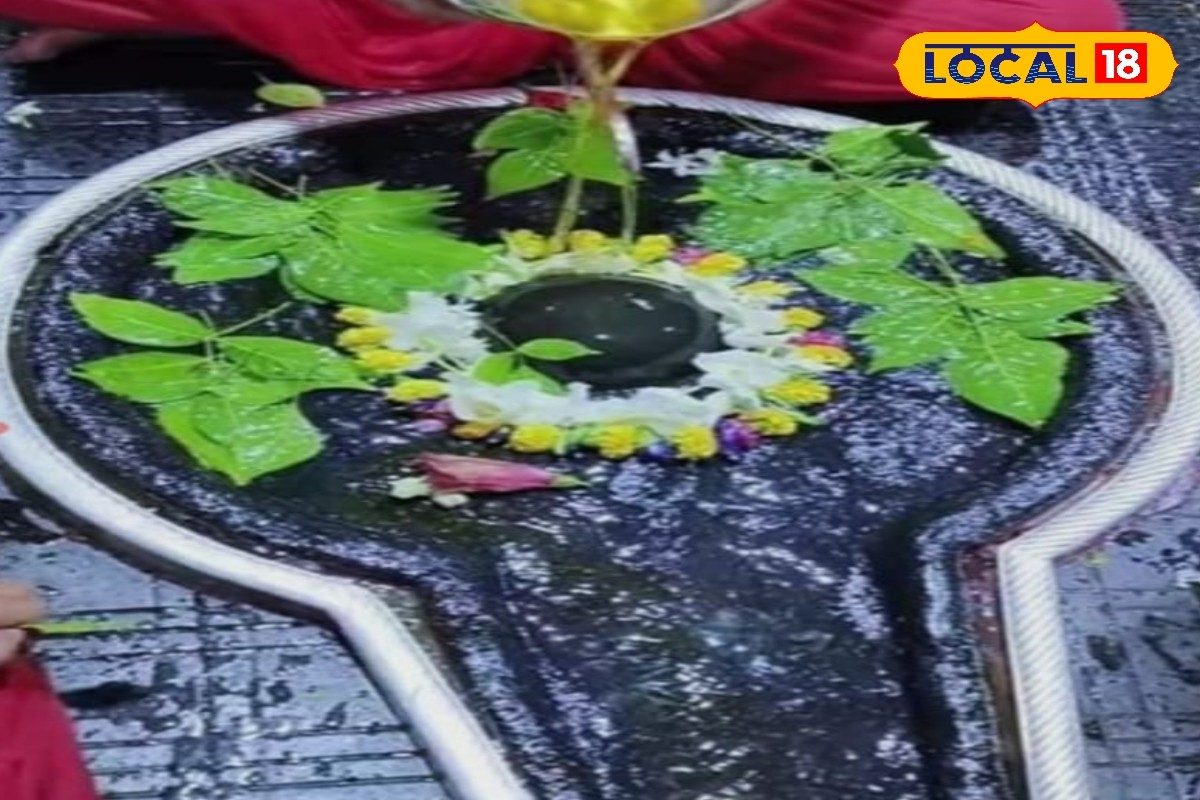 कन्या राशि वालों का आज भाग्य देगा साथ, करियर में तरक्की के योग, प्रेम जीवन में बढ़ेगी मिठास, करें ये उपाय