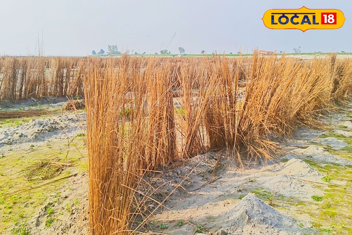 सोने की खान से कम नहीं है गंगा की रेती, फूस से तैयार होती हैं तरबूज की फसल, किसान कर रहे लाखों रुपए की कमाई