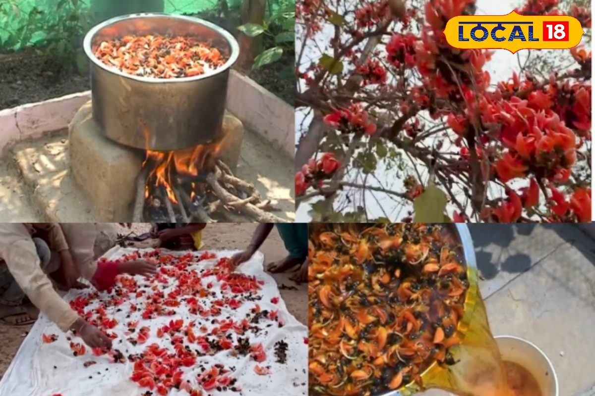 हैदराबाद की 'निज़ामी' होली: धूलपेट में 200 साल से केसू के फूलों से बन रहा है शाही रंग, जानिए क्या है इतिहास