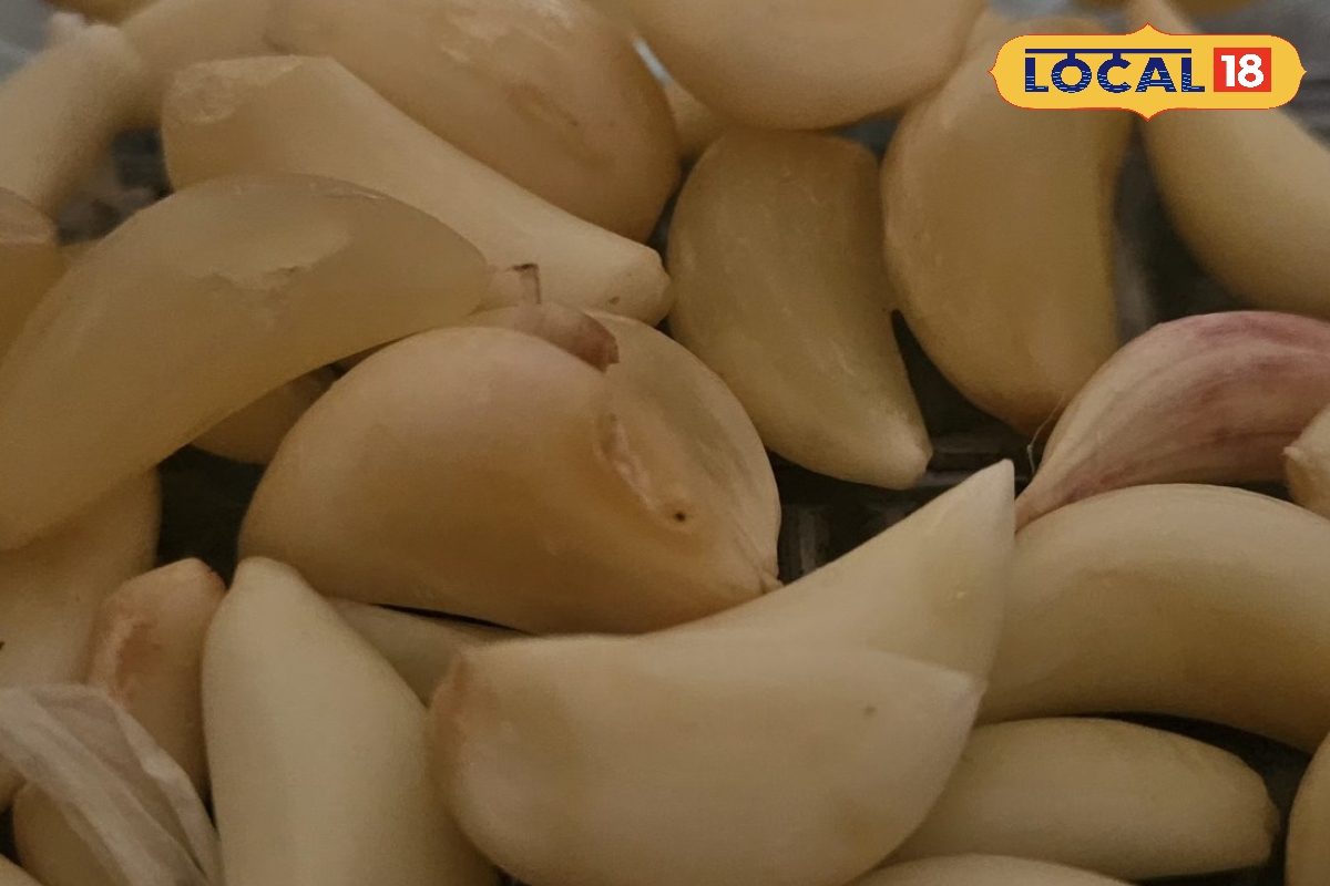 महंगे नेल ट्रीटमेंट भूल जाइए! किचन में रखी ये छोटी सी कली आपके नाखूनों को बनाएंगी मजबूत और चमकदार