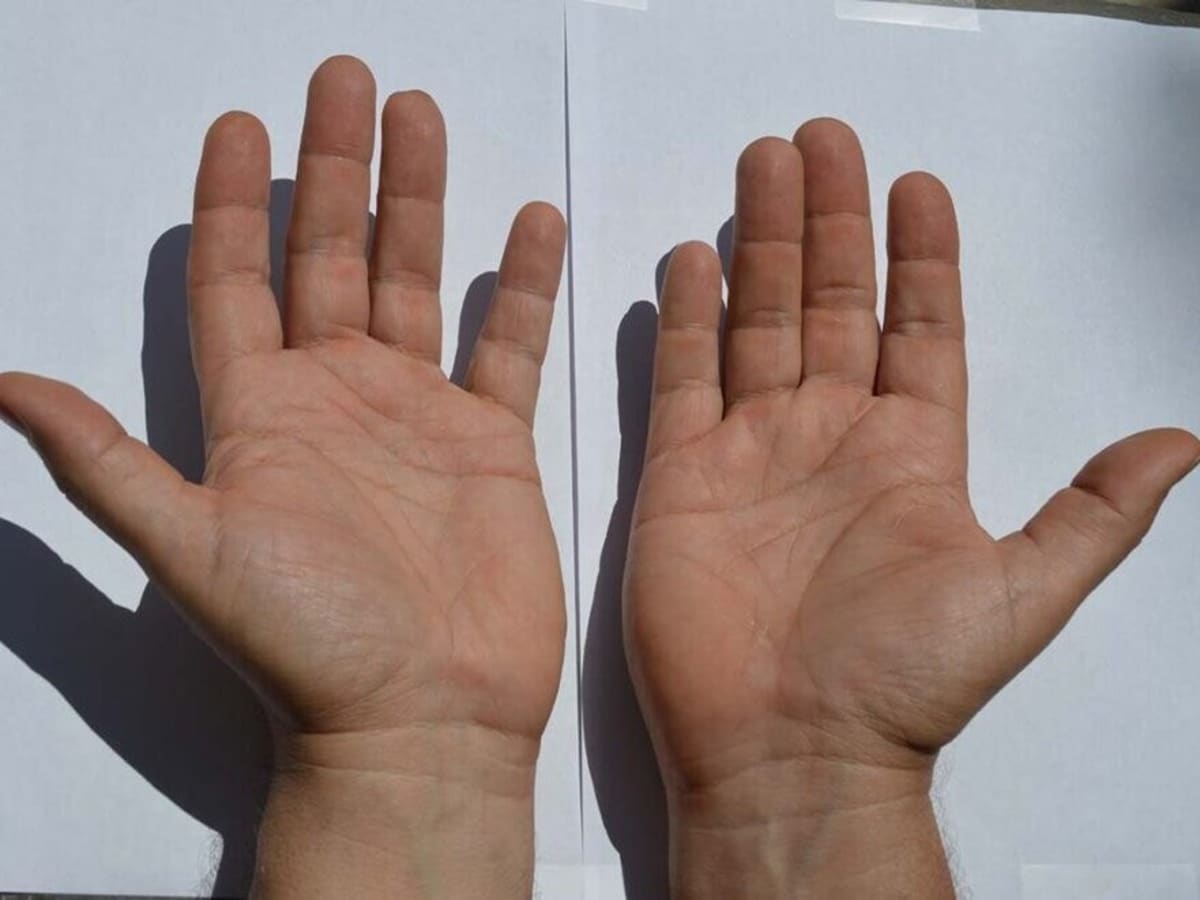 हस्तरेखा शास्त्र: कलाई पर बनने वाली मणिबंध रेखाएं खोलती हैं धन और सुख से जुड़े राज, जानिए इसके बारे में सबकुछ