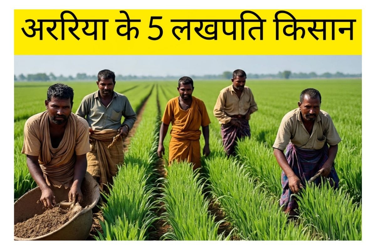 अररिया के 5 लखपति किसान! मक्का-स्ट्रॉबेरी... से कमाते हैं लाखों रुपये