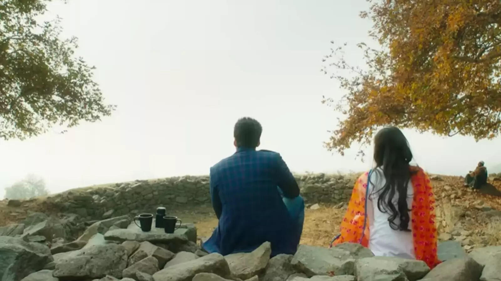 'लैला मजनू' के बाद 'हीर रांझा' से साथ आ रहे इम्तियाज अली और एकता कपूर, दिखाई फिल्म की पहली झलक