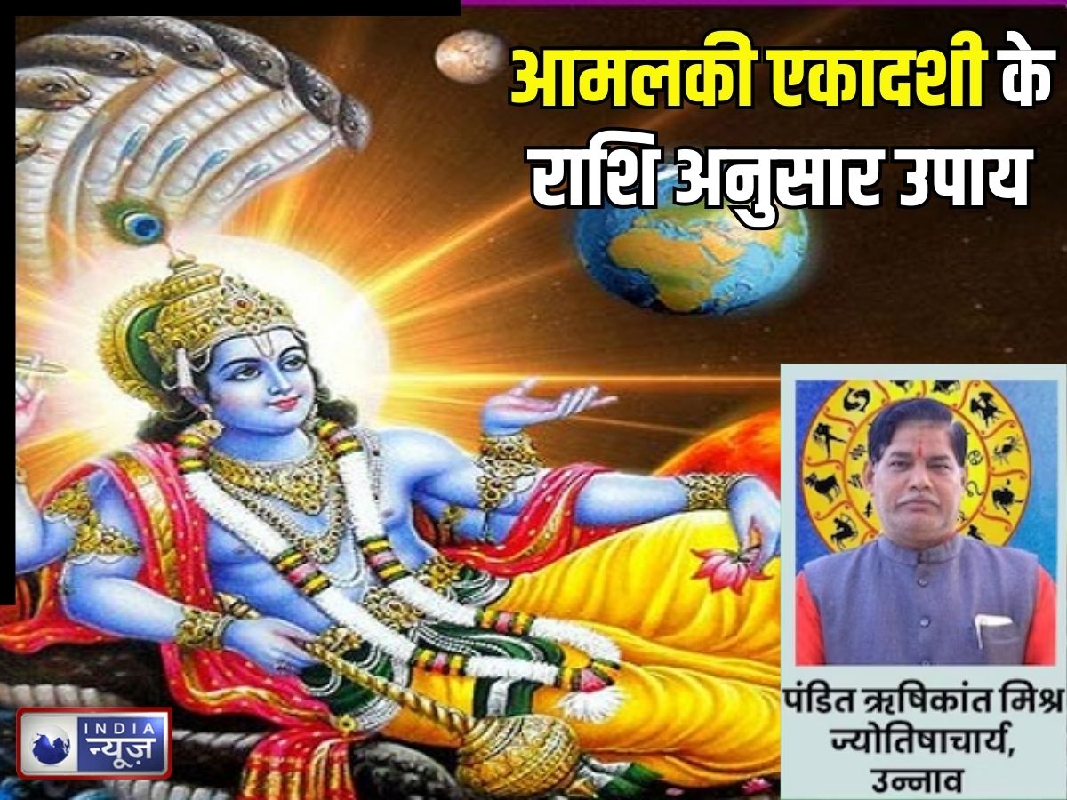 Amalaki Ekadashi: आमलकी एकादशी पर राशि अनुसार करें ये सरल उपाय, श्रीहरि का मिलेगा आशीर्वाद, दूर होगी हर परेशानी!