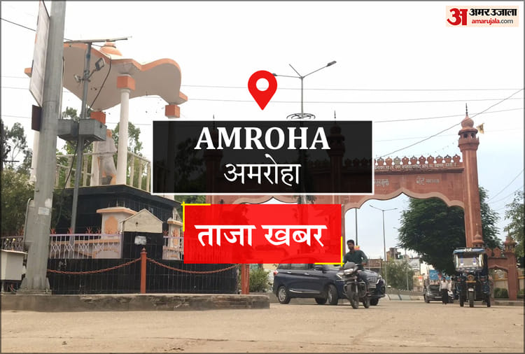 Amroha News: ऑल ओवर खेलकूद में मंडी धनौरा चैंपियन, अमरोहा रहा उपविजेता