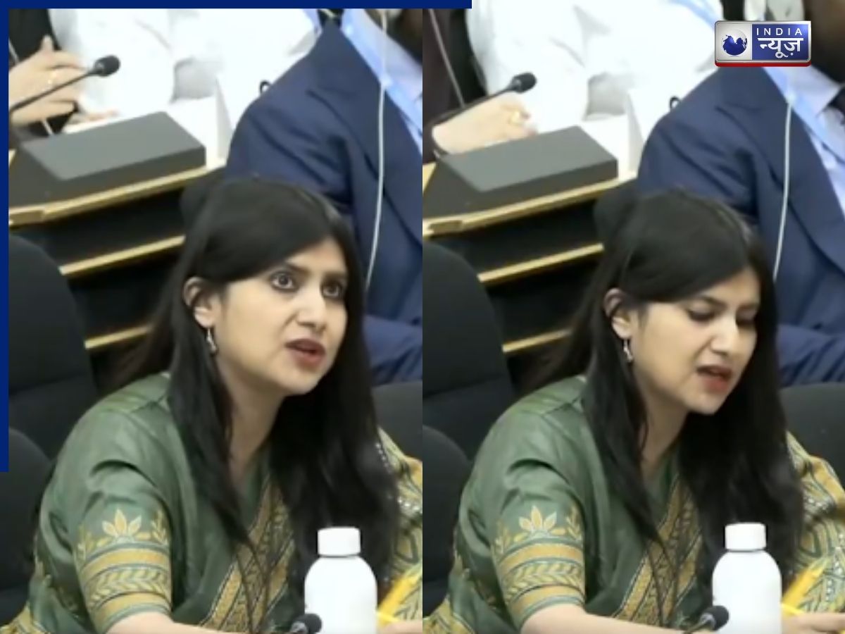 Anupama Singh: 'ला-ला लैंड में जी रहे...', UN में भारत की बेटी अनुपमा सिंह ने पाकिस्तान को दिखाई औकात