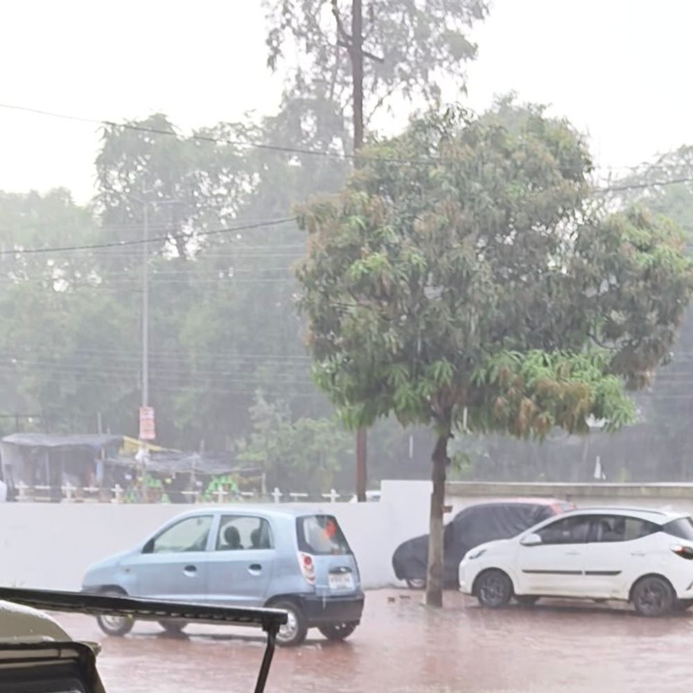 नीमच में बेमौसम बारिश, ओलावृष्टि से फसलों को नुकसान:रबी फसलें और अफीम सबसे ज्यादा प्रभावित; दो दिनों तक बादल रहने का अनुमान