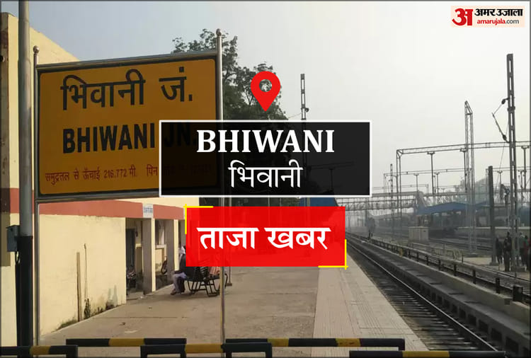 Bhiwani News: हरियाणा स्टेट मास्टर वेटलिफ्टिंग चैंपियनशिप में 50 खिलाड़ियों ने दिखाया दम