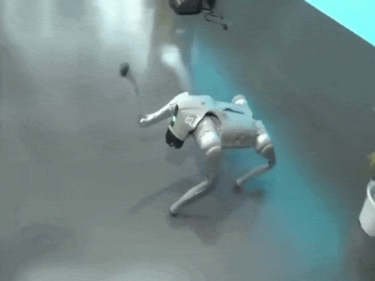 गलगोटिया यूनिवर्सिटी ने चीनी रोबोटिक डॉग को अपना बताया:AI समिट में 'ओरियन' नाम से पेश किया; बाद में कहा- हमने नहीं बनाया