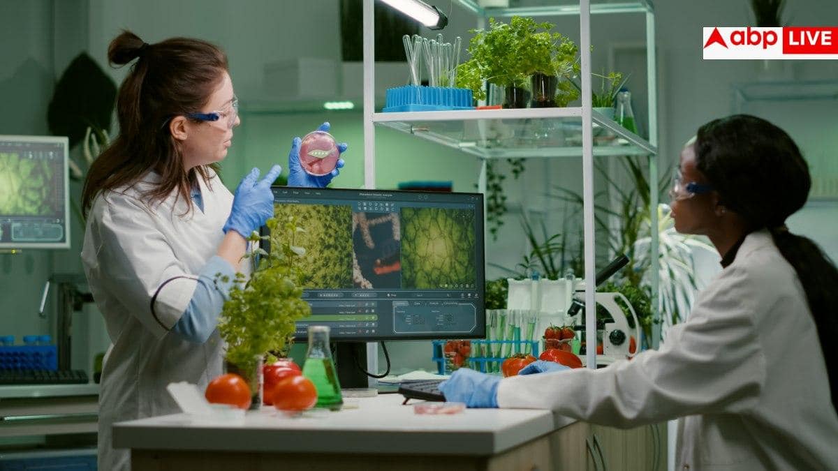 AI Fruit and Vegetable Testing: सिर्फ 90 सेकेंड में फल-सब्जी की सेहत बताएगा AI, सिर्फ 15 पैसे में हो जाएगा यह काम