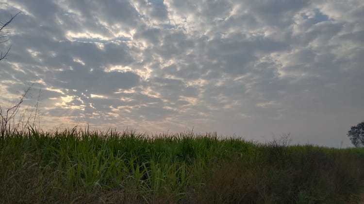 Fatehabad News: दिनभर रही बादलवाही से एक डिग्री गिरा पारा