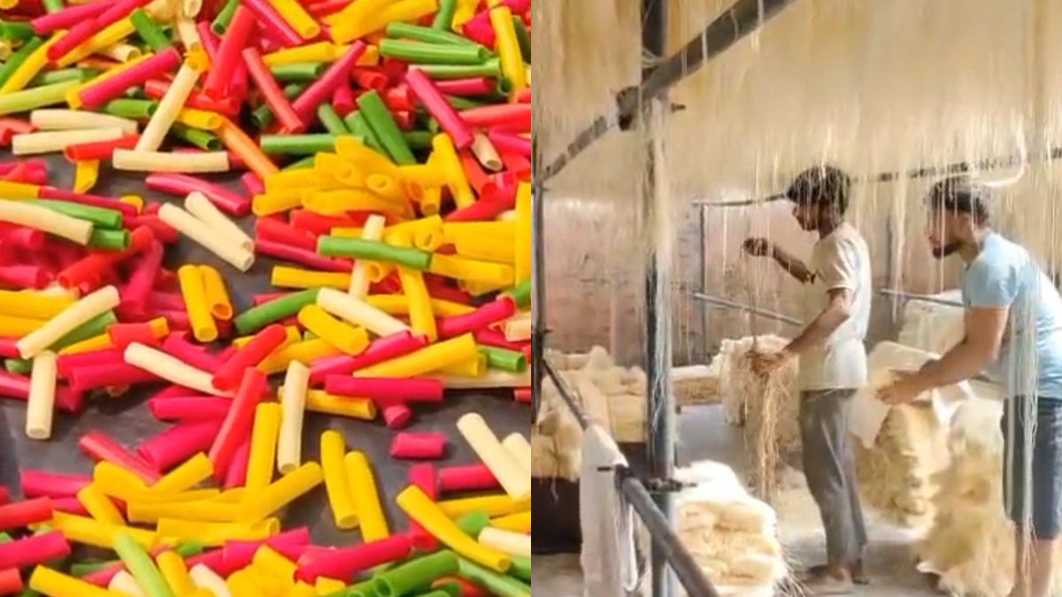 होली पर 'जहर' परोसने की थी तैयारी, खाद्य विभाग ने रेड करके पकड़ी 13 क्विंटल रंगीन कचरी और सेवइयां