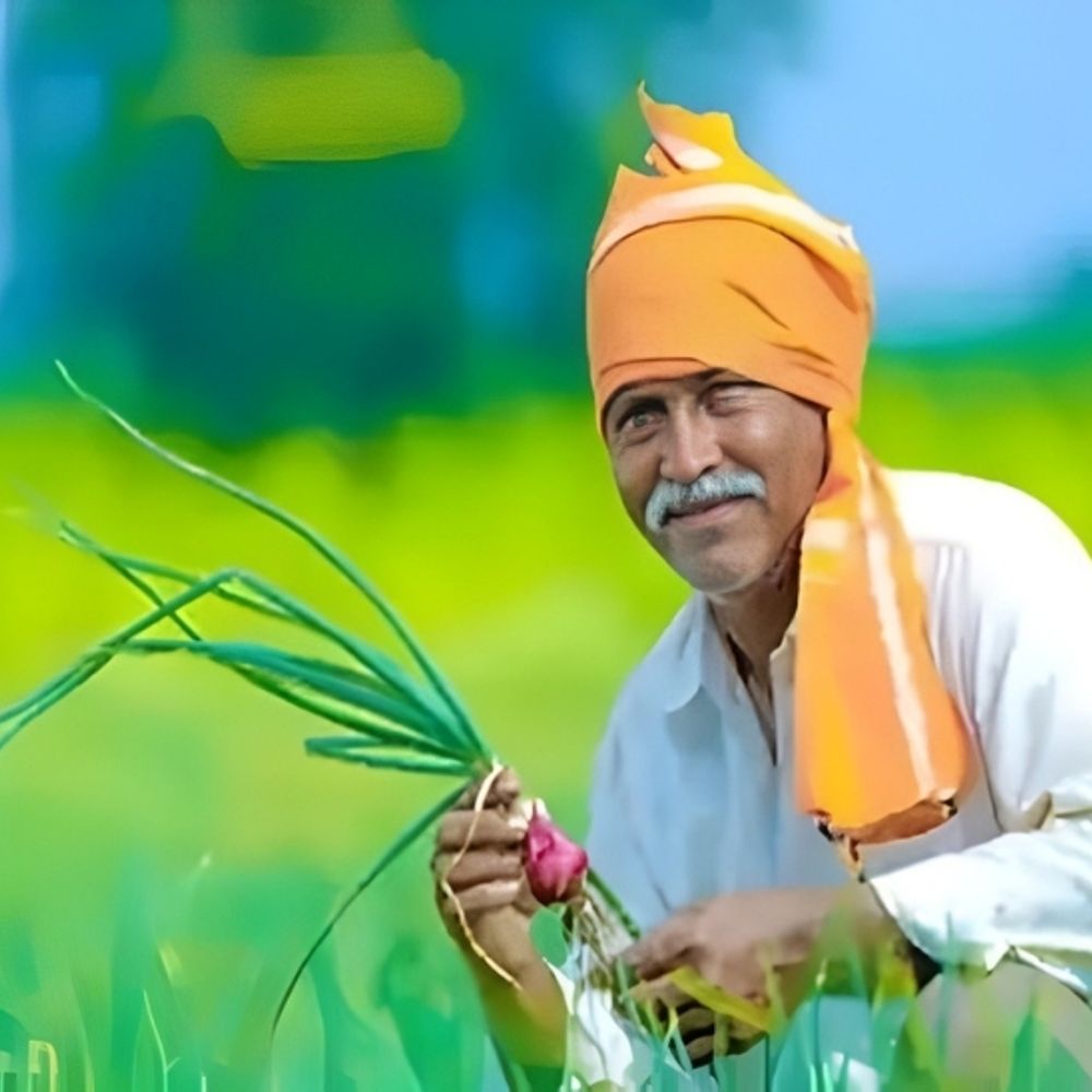 किसान क्रेडिट कार्ड लोन 6 साल में चुका सकेंगे:RBI का नया ड्राफ्ट जारी; पशुपालन, खेती के साथ तकनीक के लिए भी पैसा मिलेगा