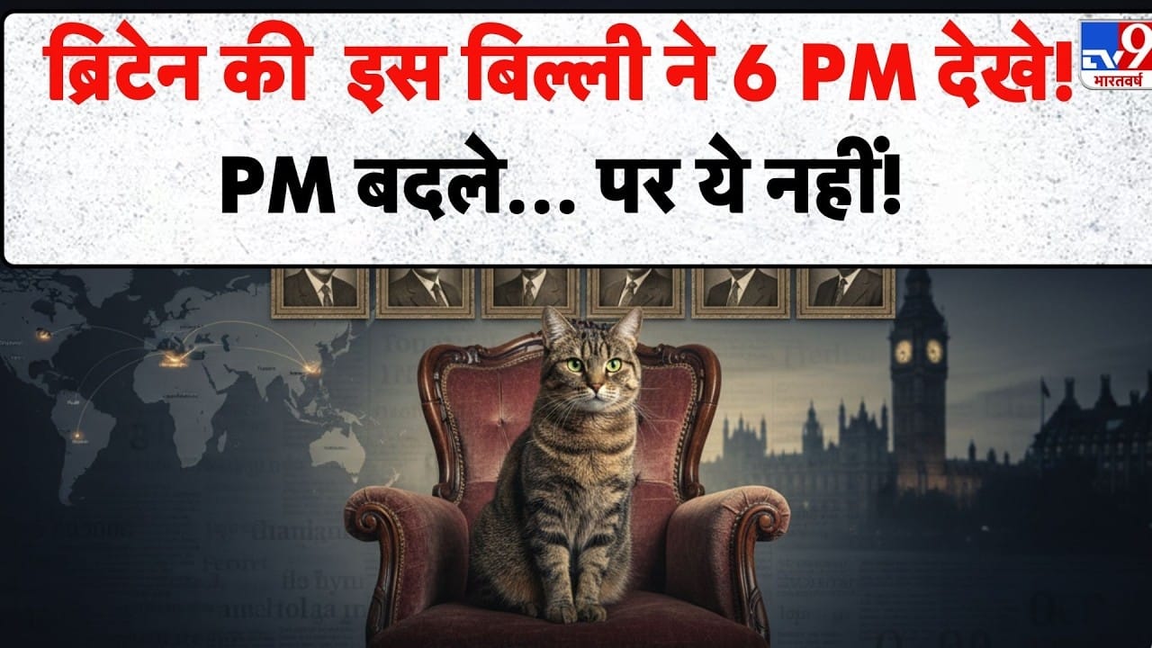 लेरी द कैट: ब्रिटेन की वो बिल्ली, जिसने 6 प्रधानमंत्री देखे!