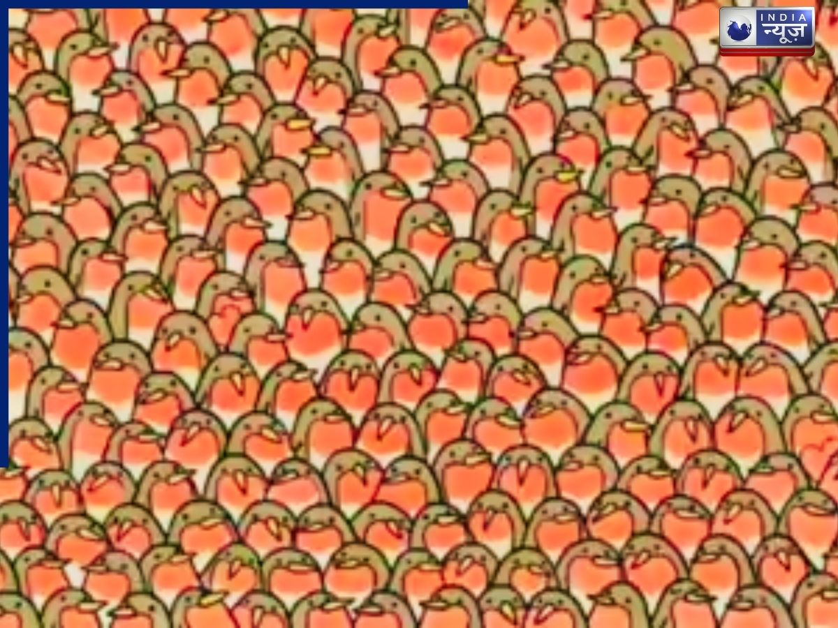 Hidden Heart Challenge: 10 में से सिर्फ 1 व्यक्ति ही इस पजल को 12 सेकंड में सॉल्व कर सकता है, दिखाएं अपनी पैनी नजर का कमाल!