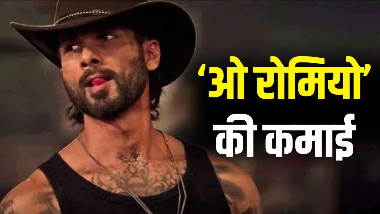 O Romeo Box Office: बॉक्स ऑफिस पर ‘ओ रोमियो’ का बुरा हाल, 14वें दिन हुई बस इतनी कमाई