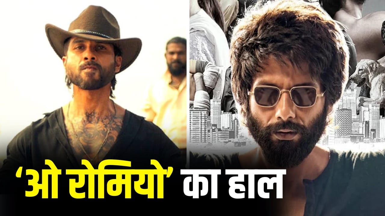 O Romeo Collection: नहीं टूटा ‘कबीर सिंह’ का रिकॉर्ड, शाहिद कपूर की इस FLOP फिल्म से भी पीछे ‘ओ रोमियो’