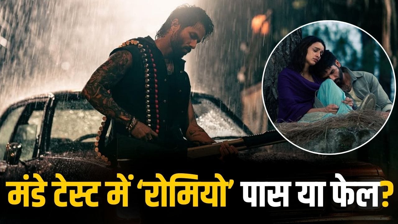 O Romeo Box Office Collection: शाहिद कपूर की ‘ओ रोमियो’ को बड़ा झटका! चौथे दिन हुआ इतने करोड़ का नुकसान