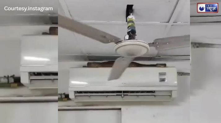 एयर इंडिया के गेट पर '7 फुटिया' मेहमान; बिना वीजा-पासपोर्ट के फ्लाइट पकड़ने पहुंचा सांप, देखें नए पैसेंजर की वीडियो!