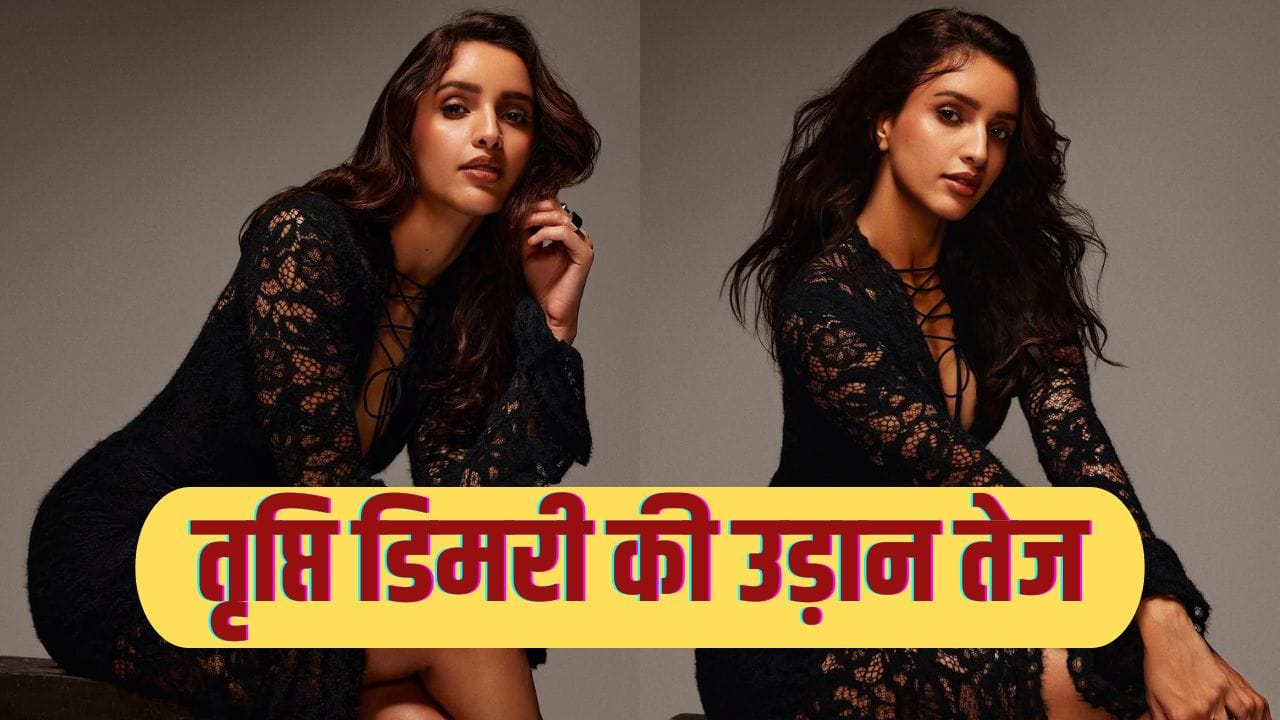 Triptii Dimri Upcoming Projects: कॉमेडी से लेकर बायोपिक तक, ‘ओ रोमियो’ के बाद तृप्ति डिमरी के खाते में कई मेगा प्रोजेक्ट्स, कतार में ये 3 फिल्में