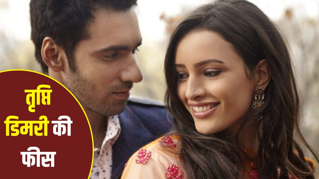 Tripti Dimri Fees: ‘लैला मजनू’ के लिए तृप्ति डिमरी को कितनी फीस मिली थी? अब एक पिक्चर के लिए वसूलती हैं 6 करोड़