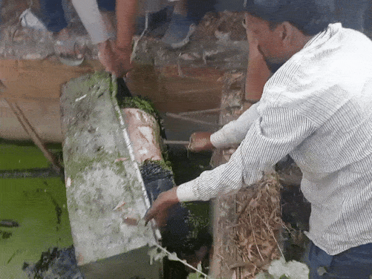 भोपाल में बक्से में मिली महिला की शिनाख्त हुई:प्रेमी और पत्नी ने हत्या कर शव को सेप्टिक टैंक में फेंका था, दोनों आरोपी फरार