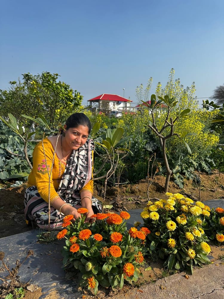 Jhajjar-Bahadurgarh News: पति की प्रेरणा से तैयार मंजू ग्रेवाल की बगिया से महका गुलशन