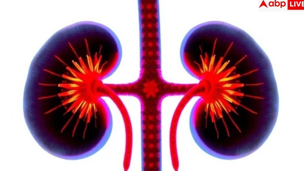 Kidney Damage Causes: किडनी का 'साइलेंट किलर', सिर्फ शुगर-बीपी नहीं, ये छिपी हुई आदतें भी कर रहीं किडनी को डैमेज