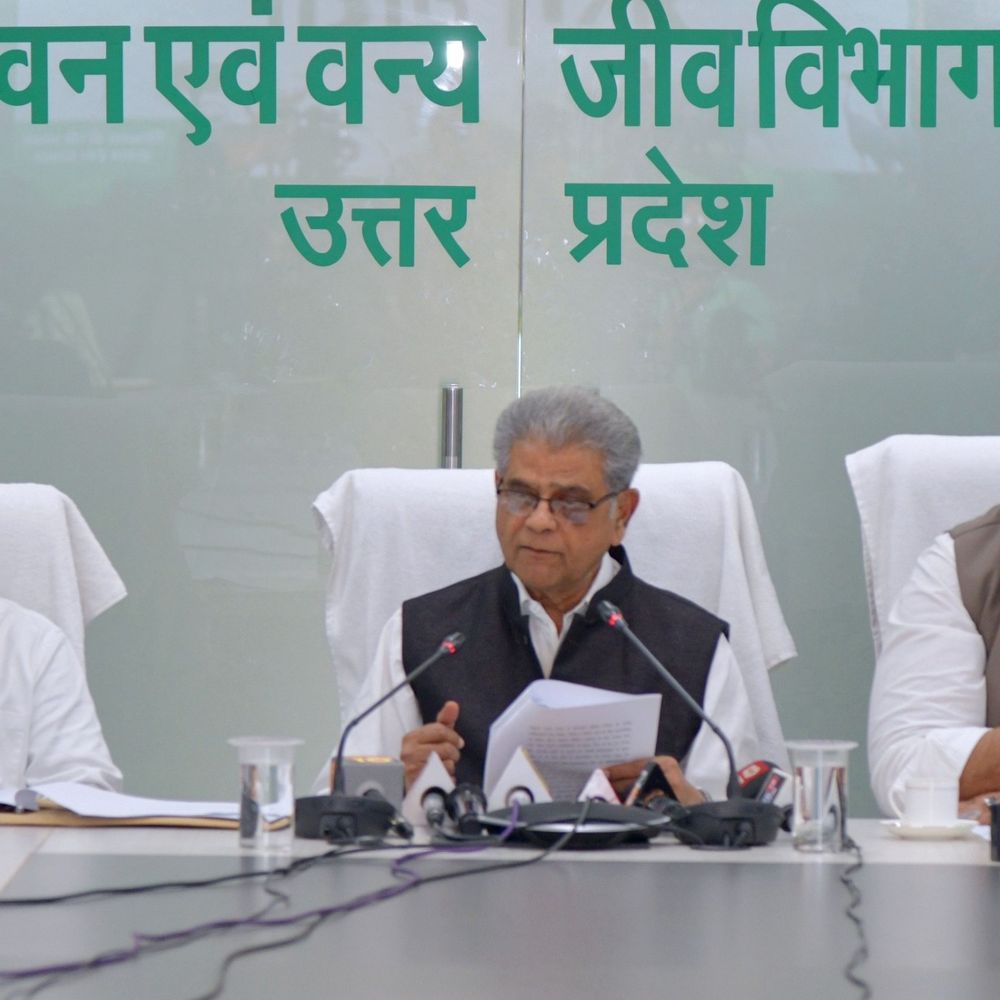 अंतर्राष्ट्रीय वन दिवस पर आज होगा अरण्य समागम आयोजन:कार्यशाला में वनों और अर्थव्यवस्था पर मंथन, सीएम योगी करेंगे उद्घाटन